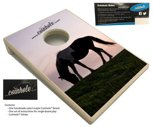 Coinhole Board
