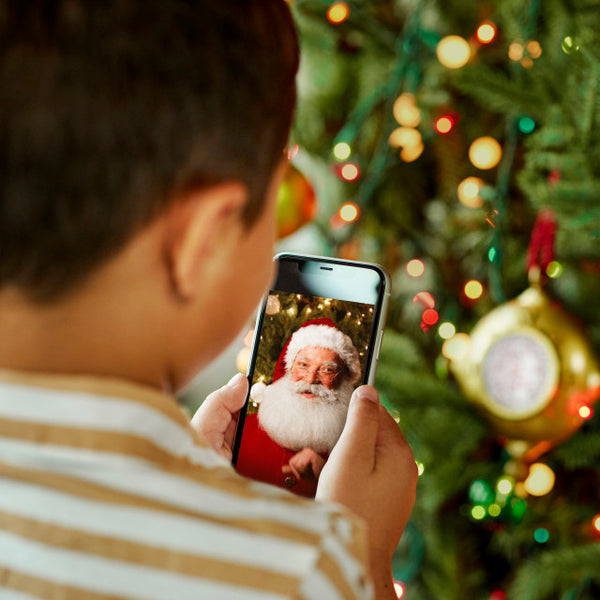Santa's Kindness Ornament and Journal