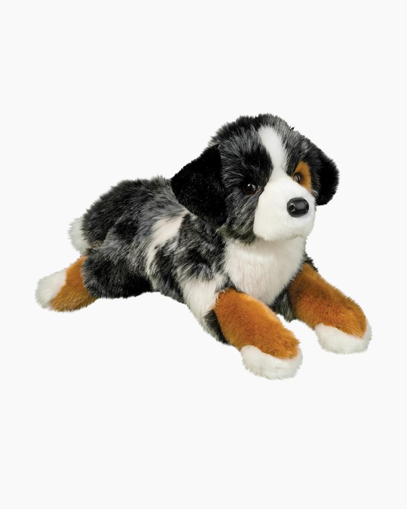 Maizie Australian Shepherd DLux