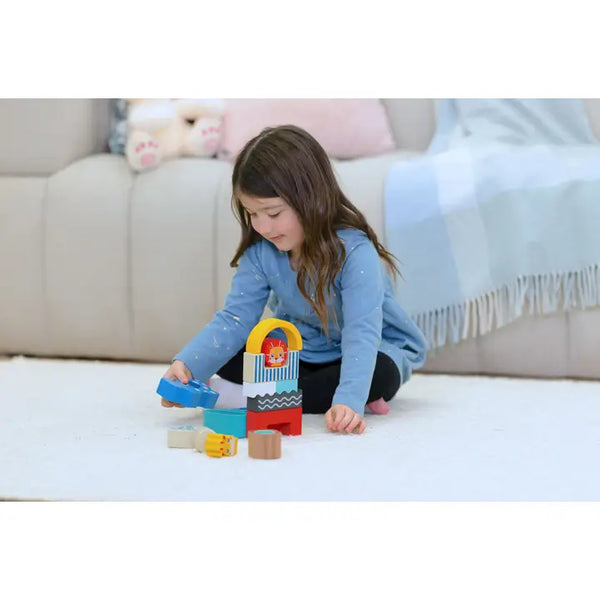 Wooden Shape & Animal Blocks