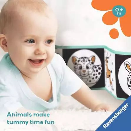 Tummy Time Book: Wild Animals