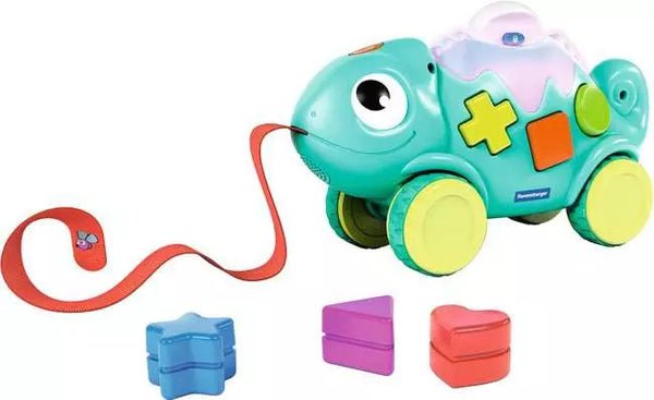 Color & Shape Sorter Chameleon