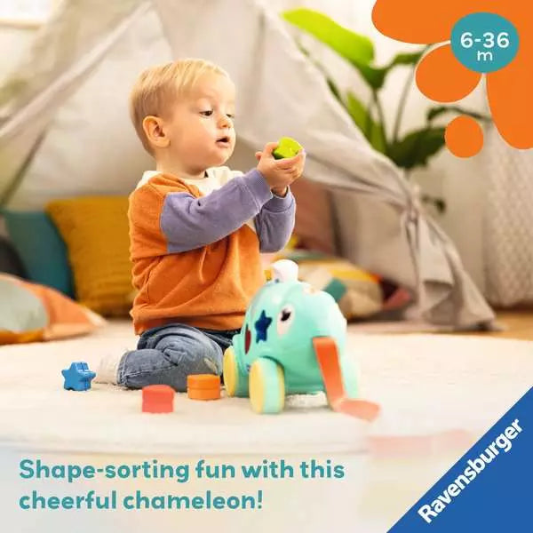 Color & Shape Sorter Chameleon