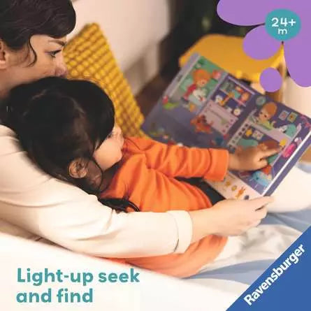 Search & Shine:  In the Night