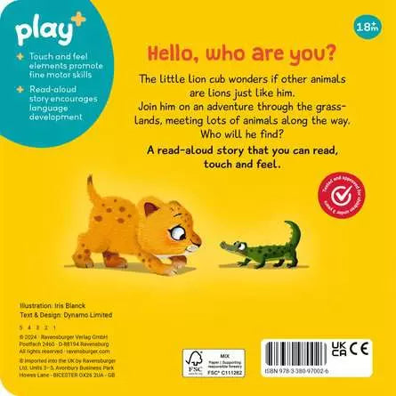 Are You A Lion Like Me? Book