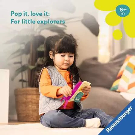 Flip & Flop Book: My First Words