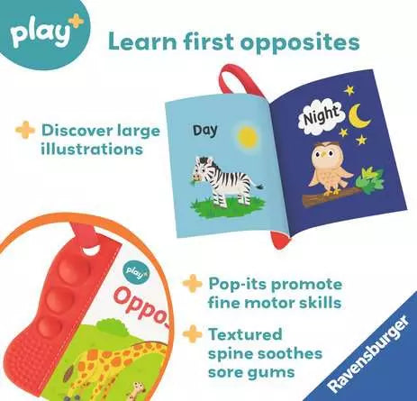 Flip & Flop Book: Opposites