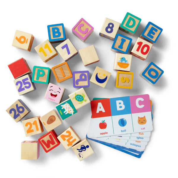 Ms. Rachel Wooden Learning Blocks