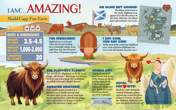 I Am Highland Cow Shaped Puzzle