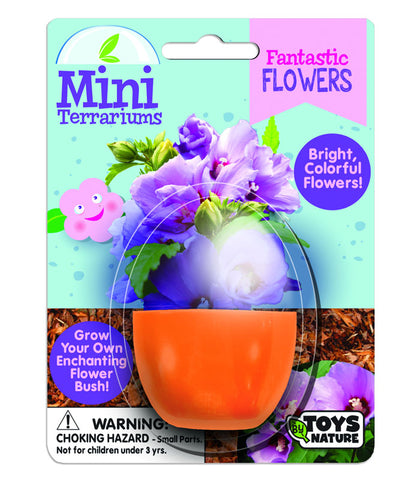Mini Terrarium - Fantastic Flowers