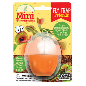Mini Terrarium - Fly Trap Friends