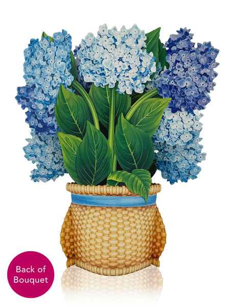 Nantucket Hydrangeas Pop-Up Flower Bouquet