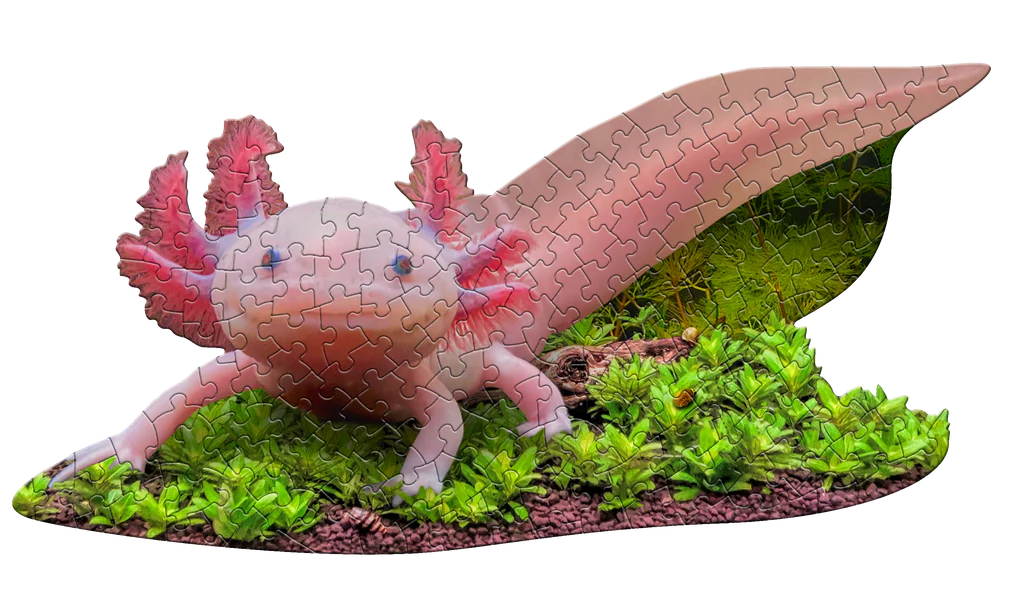 I Am Lil' Axolotl Shaped Puzzle