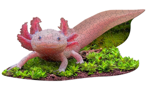 I Am Lil' Axolotl Shaped Puzzle