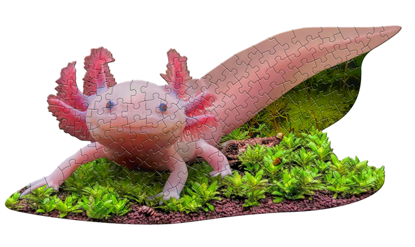 I Am Lil' Axolotl Shaped Puzzle