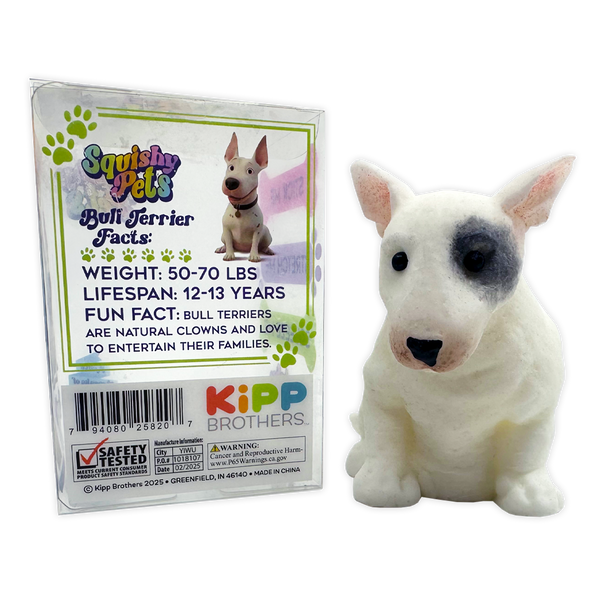 So Much Fun! Squishy Pets Keepsake - Assorted