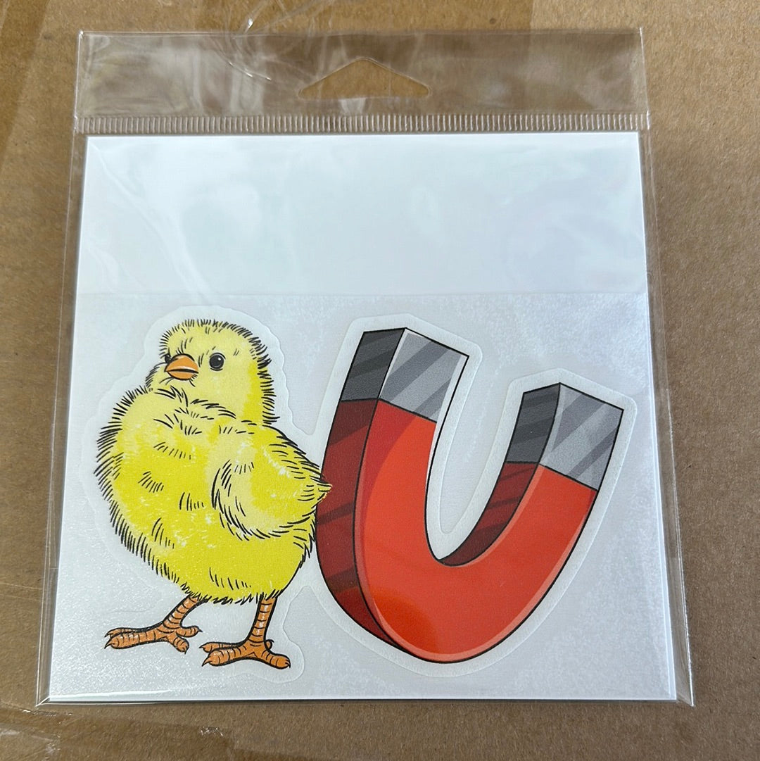 Chick Magnet Sticker