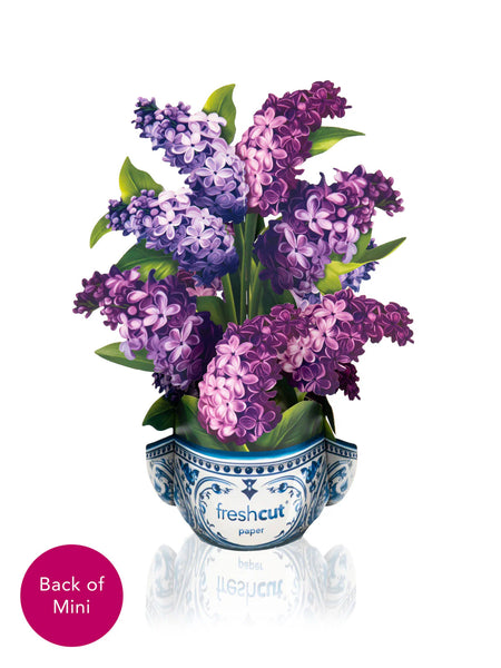 Mini Garden Lilacs Pop-Up Flower Bouquet