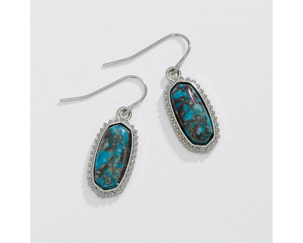 Silver & Turquoise Drops Earrings