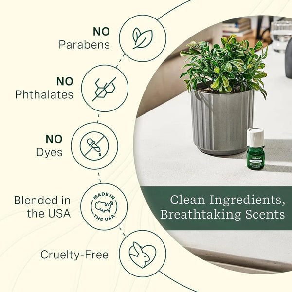 Lifelines Clickwick Refill - Discovery Set - 4 pack