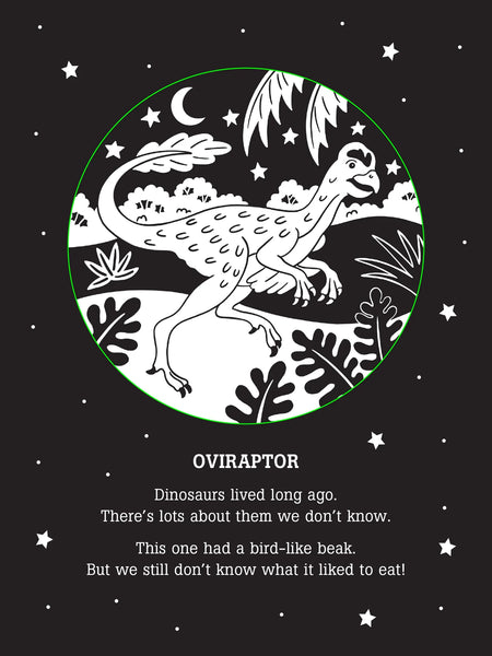 Dinos After Dark: A Bedtime Shadow Book