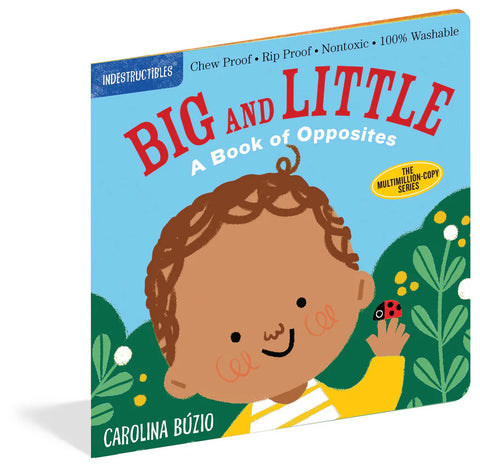 Big and Little A Book of Opposites Indestructibles Book