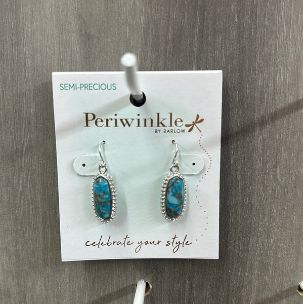 Silver & Turquoise Drops Earrings