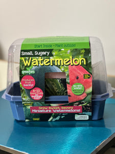 Watermelon Sprouter