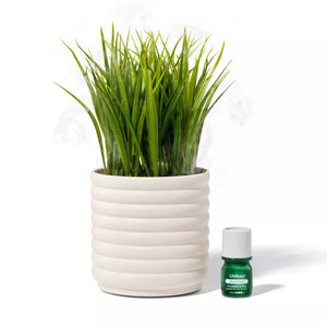 Lifelines Plant Diffuser - Grass Plant