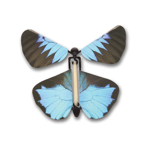 Wind Up Australian Butterflies