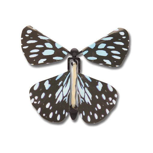 Wind Up Australian Butterflies