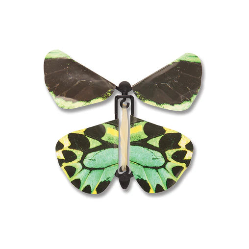 Wind Up Australian Butterflies