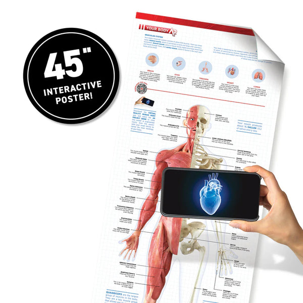 Human Body! Virtual Reality Discovery Box
