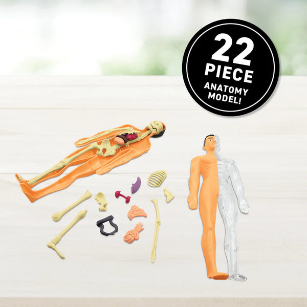 Human Body! Virtual Reality Discovery Box