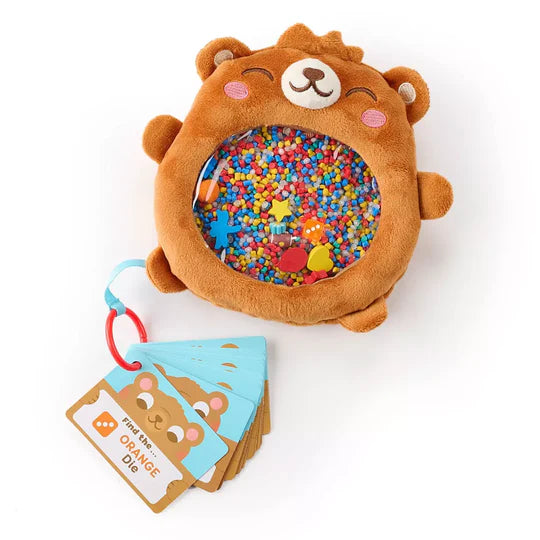 C & R Sensory Seek & Find Bear