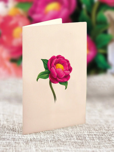 Mini Peony Paradise Pop-Up Flower Bouquet