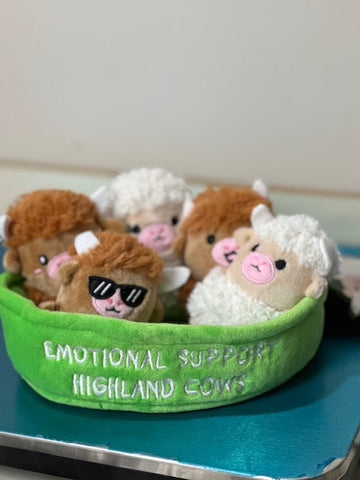 Highland Cows Emotional Support Pals