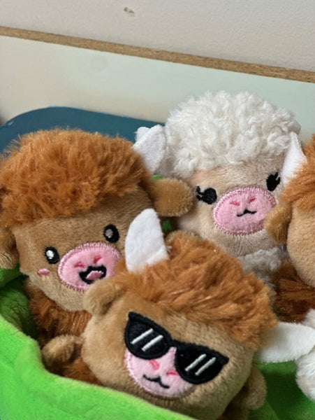Highland Cows Emotional Support Pals