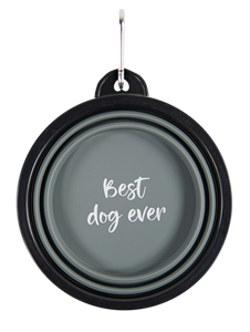 Best Dog Dog Bowl