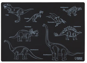 Dinosaur Single Mat