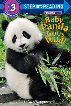 Baby Panda Goes Wild