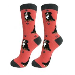 Bernese Mtn Dog Socks