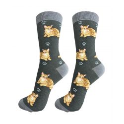 Orange Tabby Cat Socks